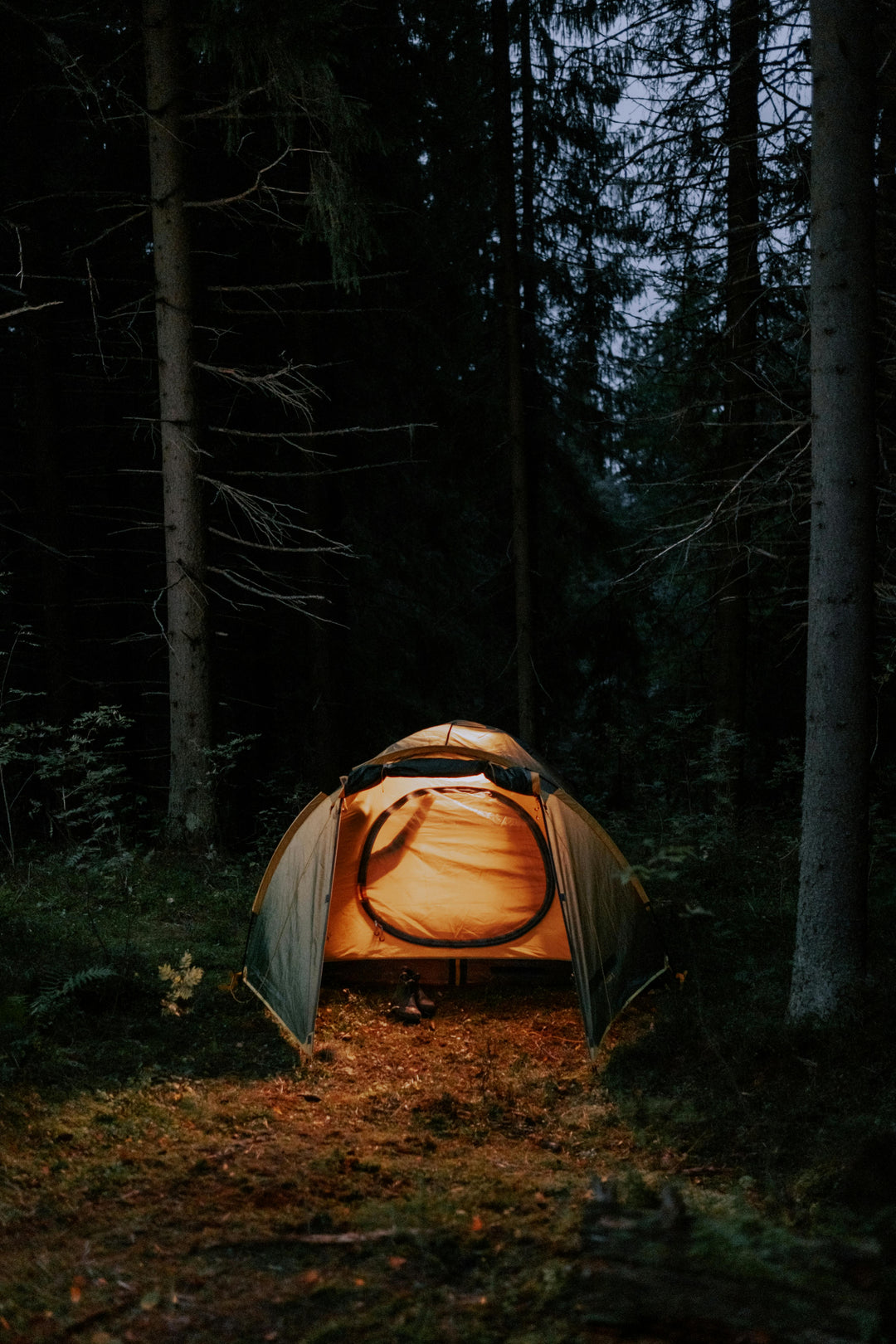 About Us 4 - warm tent night